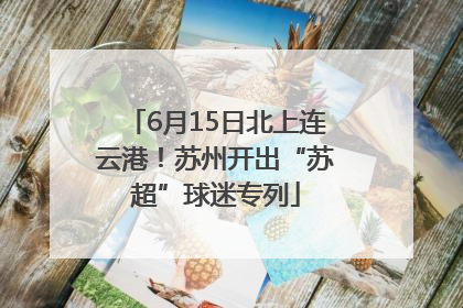 6月15日北上连云港！苏州开出“苏超”球迷专列