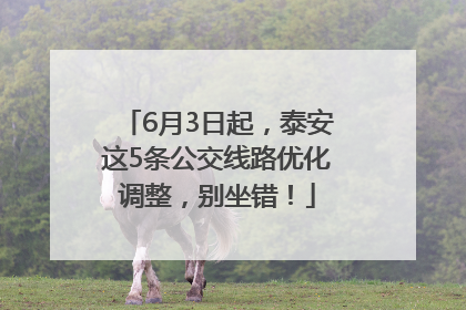 6月3日起，泰安这5条公交线路优化调整，别坐错！