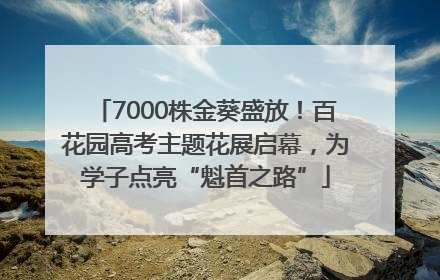 7000株金葵盛放！百花园高考主题花展启幕，为学子点亮“魁首之路”