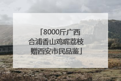 8000斤广西合浦香山鸡嘴荔枝赠西安市民品鉴