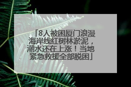 8人被困厦门浪漫海岸线红树林淤泥，潮水还在上涨！当地紧急救援全部脱困