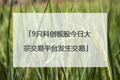 9只科创板股今日大宗交易平台发生交易