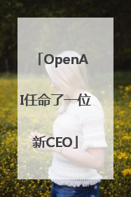 OpenAI任命了一位新CEO