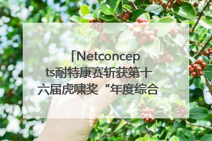 Netconcepts耐特康赛斩获第十六届虎啸奖“年度综合服务商”大奖