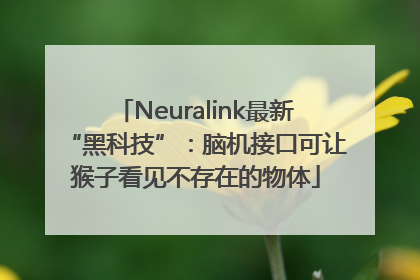 Neuralink最新“黑科技”：脑机接口可让猴子看见不存在的物体